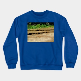 Holy ground Crewneck Sweatshirt